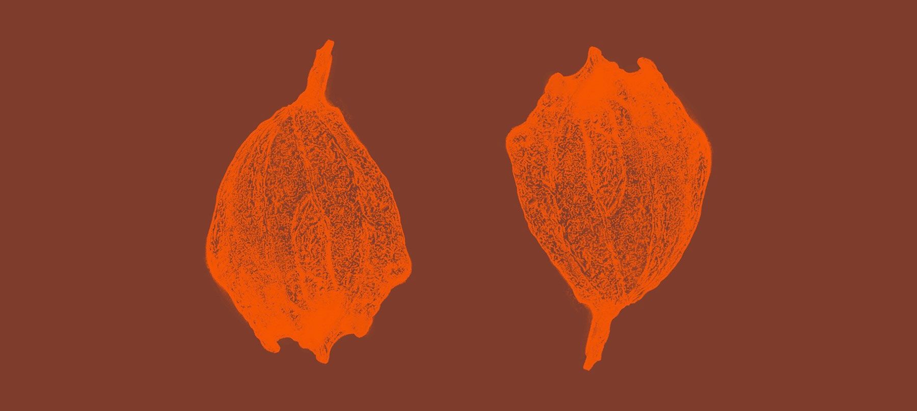 Cocktail and Spirit Bar Salamanca Hobart Mary Mary